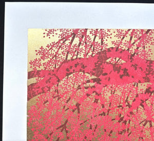  - Shidare Zakura 19 (Weeping Cherry 19) - Hajime Namiki - SAKURA FINE ART