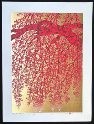  - Shidare Zakura 19 (Weeping Cherry 19) - Hajime Namiki - SAKURA FINE ART