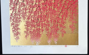  - Shidare Zakura 19 (Weeping Cherry 19) - Hajime Namiki - SAKURA FINE ART