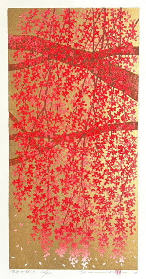  - Shidare Zakura 28 (Weeping Cherry 28) - Hajime Namiki - SAKURA FINE ART
