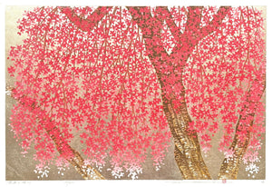  - Shidare Zakura 29 (Weeping Cherry 29) - Hajime Namiki - SAKURA FINE ART