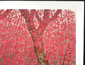  - Shidare Zakura 29 (Weeping Cherry 29) - Hajime Namiki - SAKURA FINE ART