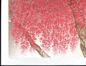 - Shidare Zakura 29 (Weeping Cherry 29) - Hajime Namiki - SAKURA FINE ART