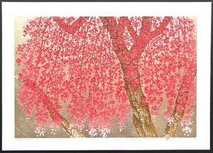  - Shidare Zakura 29 (Weeping Cherry 29) - Hajime Namiki - SAKURA FINE ART