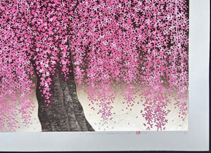  - Shidare Zakura 30 (Weeping Cherry 30) - Hajime Namiki - SAKURA FINE ART