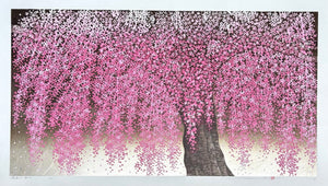  - Shidare Zakura 30 (Weeping Cherry 30) - Hajime Namiki - SAKURA FINE ART
