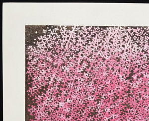  - Shidare Zakura 30 (Weeping Cherry 30) - Hajime Namiki - SAKURA FINE ART