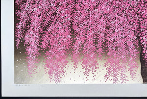  - Shidare Zakura 30 (Weeping Cherry 30) - Hajime Namiki - SAKURA FINE ART