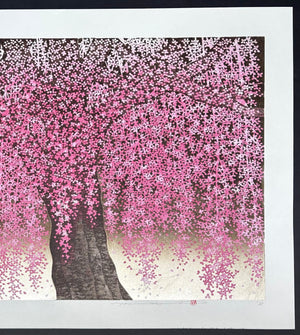  - Shidare Zakura 30 (Weeping Cherry 30) - Hajime Namiki - SAKURA FINE ART
