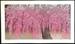  - Shidare Zakura 30 (Weeping Cherry 30) - Hajime Namiki - SAKURA FINE ART