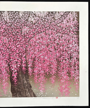  - Shidare Zakura 30 (Weeping Cherry 30) - Hajime Namiki - SAKURA FINE ART