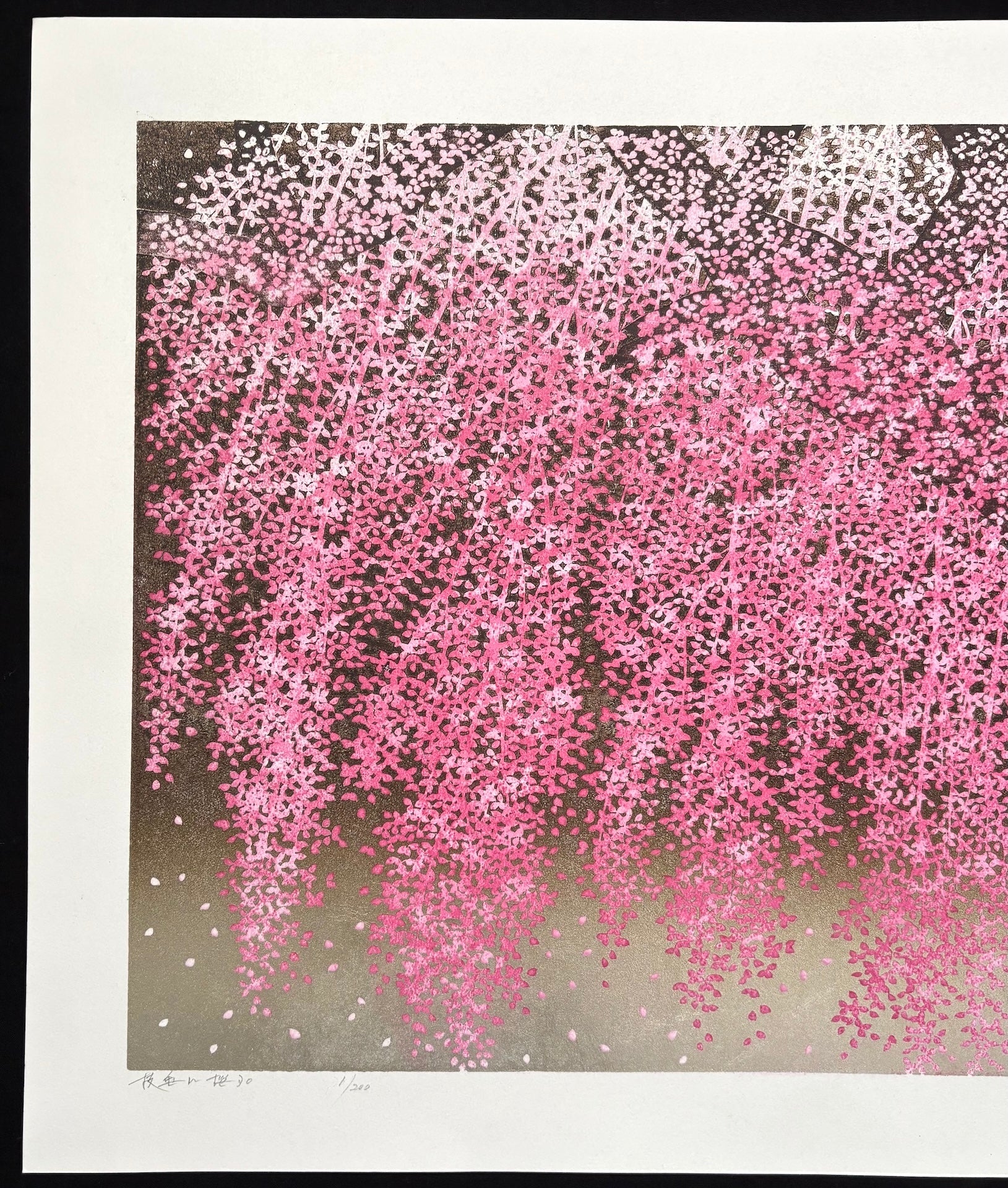  - Shidare Zakura 30 (Weeping Cherry 30) - Hajime Namiki - SAKURA FINE ART
