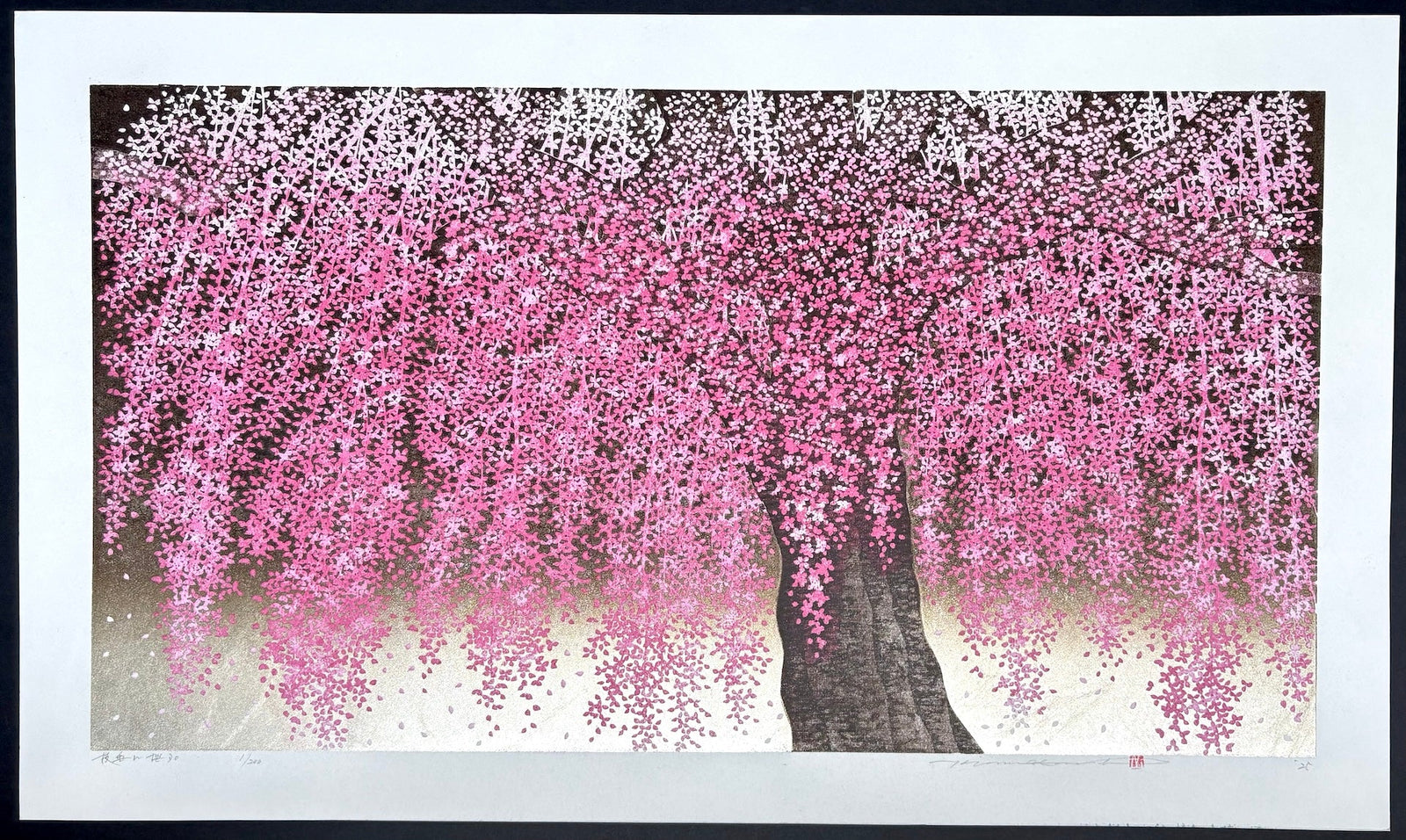  - Shidare Zakura 30 (Weeping Cherry 30) - Hajime Namiki - SAKURA FINE ART