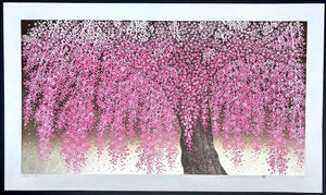  - Shidare Zakura 30 (Weeping Cherry 30) - Hajime Namiki - SAKURA FINE ART