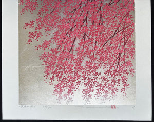  - Shidare Zakura 6 (Weeping Cherry 6) - Hajime Namiki - SAKURA FINE ART