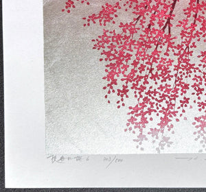  - Shidare Zakura 6 (Weeping Cherry 6) - Hajime Namiki - SAKURA FINE ART