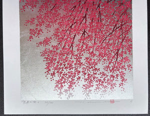  - Shidare Zakura 6 (Weeping Cherry 6) - Hajime Namiki - SAKURA FINE ART