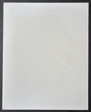  - Shidare Zakura 6 (Weeping Cherry 6) - Hajime Namiki - SAKURA FINE ART