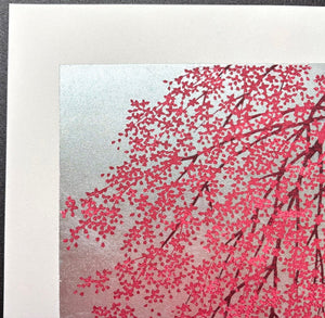  - Shidare Zakura 6 (Weeping Cherry 6) - Hajime Namiki - SAKURA FINE ART
