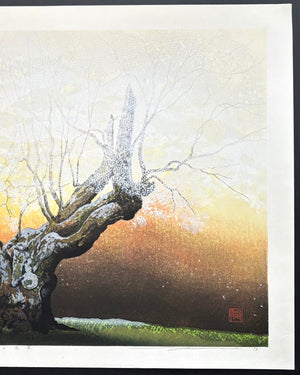 - Shungyo no Tanboku (Cherry Blossoms in Spring Dawn) - Seiji Sano - SAKURA FINE ART