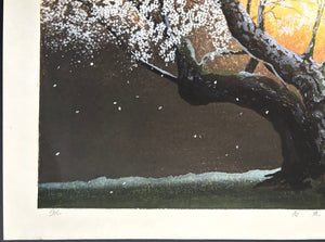 - Shungyo no Tanboku (Cherry Blossoms in Spring Dawn) - Seiji Sano - SAKURA FINE ART