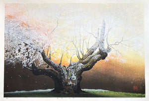 - Shungyo no Tanboku (Cherry Blossoms in Spring Dawn) - Seiji Sano - SAKURA FINE ART