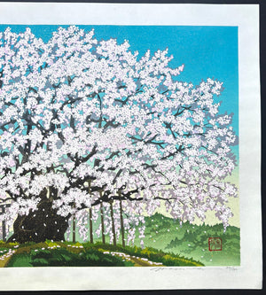  - Suzakura Jinja no Jindai Zakura (The Jindai Cherry Tree at Suzakura Shrine) - Masao Ido - SAKURA FINE ART