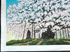 - Suzakura Jinja no Jindai Zakura (The Jindai Cherry Tree at Suzakura Shrine) - Masao Ido - SAKURA FINE ART