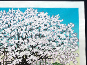 - Suzakura Jinja no Jindai Zakura (The Jindai Cherry Tree at Suzakura Shrine) - Masao Ido - SAKURA FINE ART
