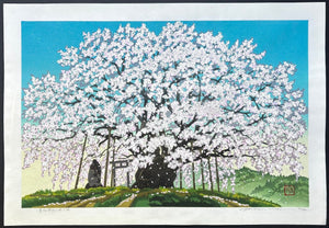  - Suzakura Jinja no Jindai Zakura (The Jindai Cherry Tree at Suzakura Shrine) - Masao Ido - SAKURA FINE ART