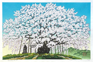  - Suzakura Jinja no Jindai Zakura (The Jindai Cherry Tree at Suzakura Shrine) - Masao Ido - SAKURA FINE ART