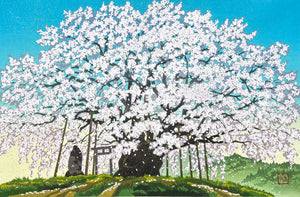  - Suzakura Jinja no Jindai Zakura (The Jindai Cherry Tree at Suzakura Shrine) - Masao Ido - SAKURA FINE ART