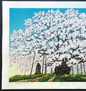  - Suzakura Jinja no Jindai Zakura (The Jindai Cherry Tree at Suzakura Shrine) - Masao Ido - SAKURA FINE ART