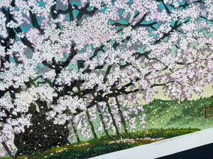  - Suzakura Jinja no Jindai Zakura (The Jindai Cherry Tree at Suzakura Shrine) - Masao Ido - SAKURA FINE ART