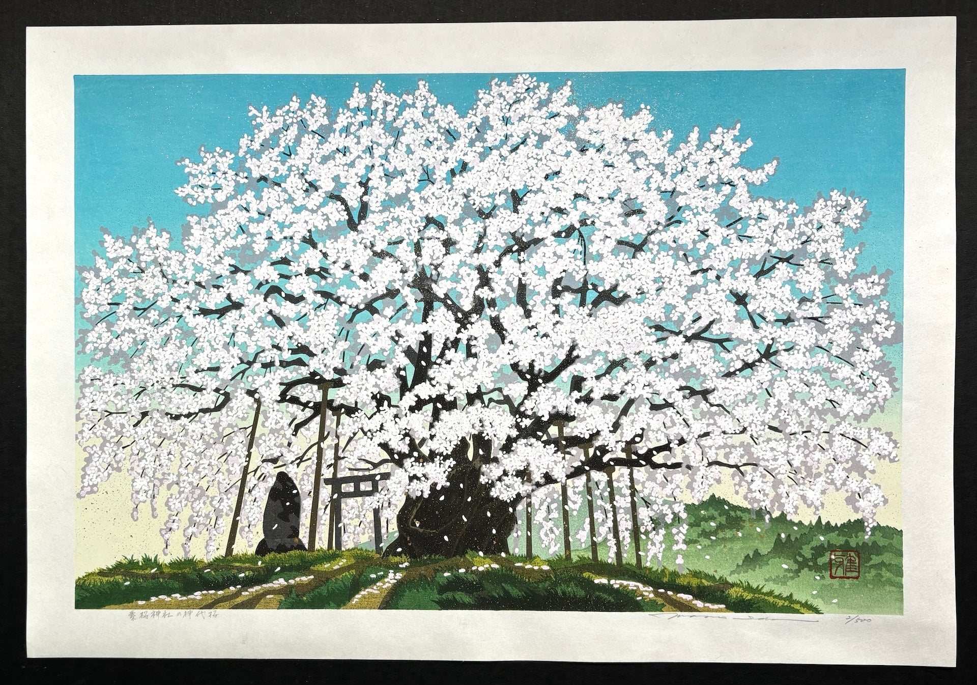  - Suzakura Jinja no Jindai Zakura (The Jindai Cherry Tree at Suzakura Shrine) - SAKURA FINE ART