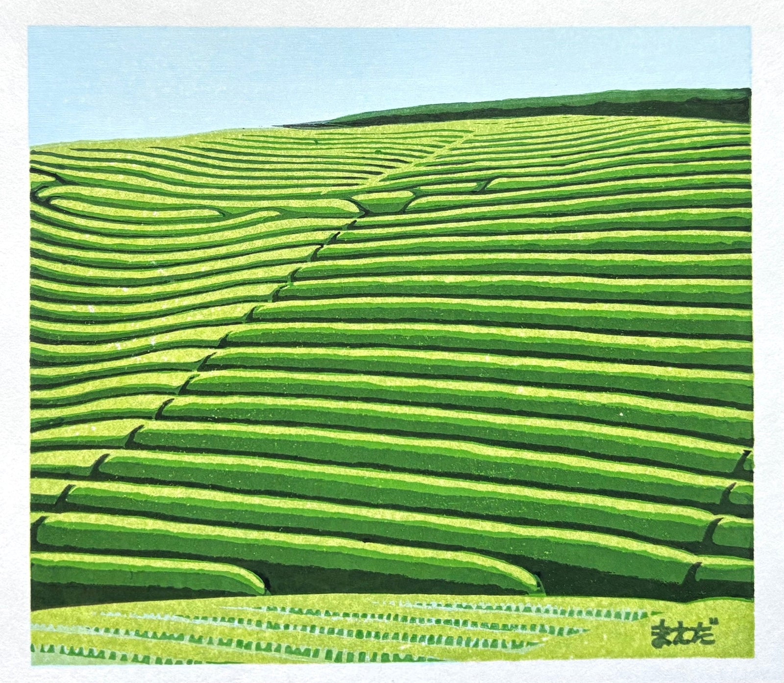 - Tea Plantation in Early Summer - Koichi Maeda - SAKURA FINE ART