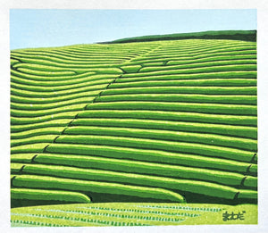  - Tea Plantation in Early Summer - Koichi Maeda - SAKURA FINE ART
