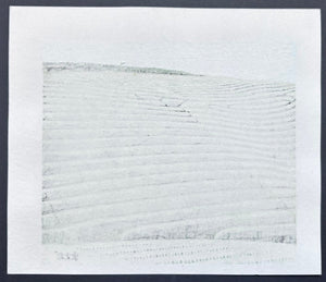  - Tea Plantation in Early Summer - Koichi Maeda - SAKURA FINE ART