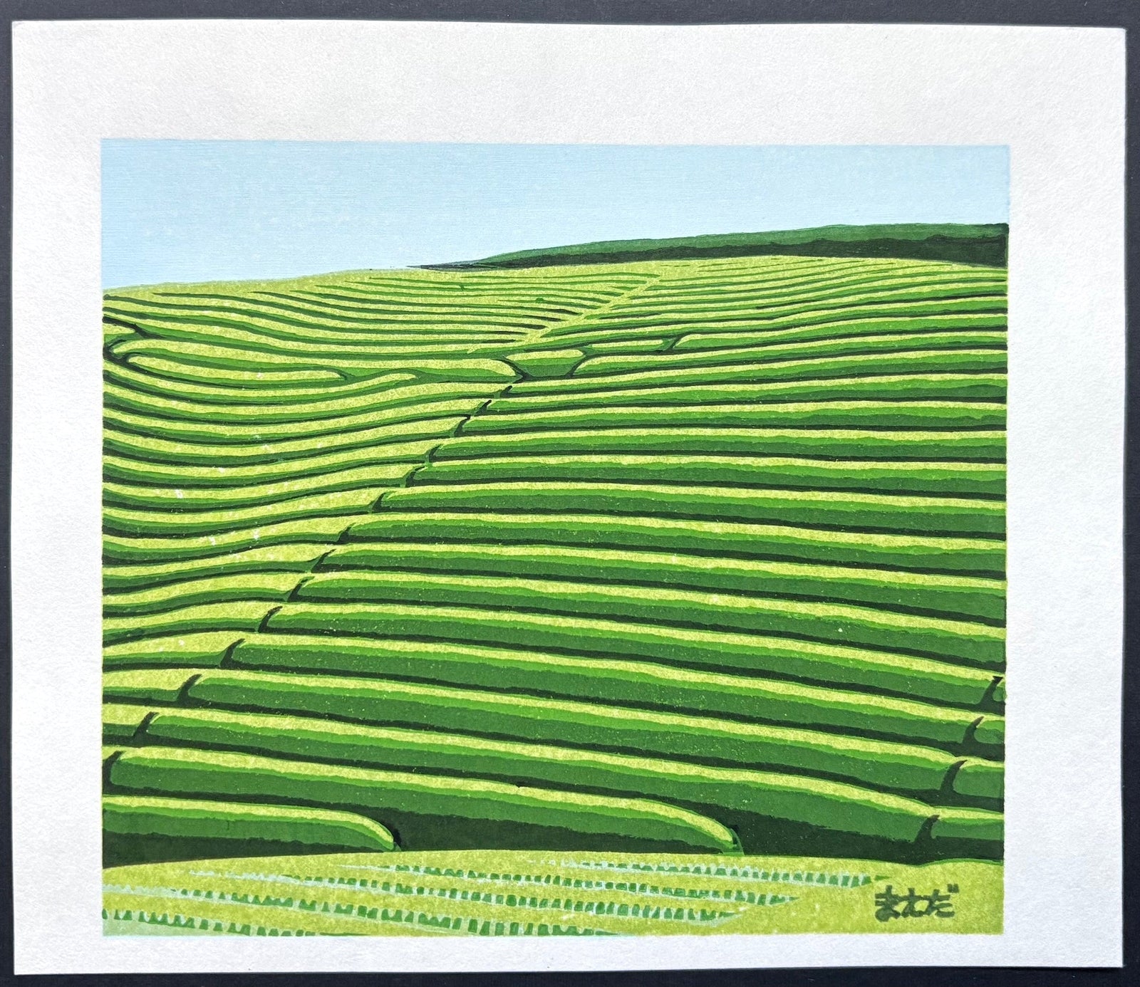  - Tea Plantation in Early Summer - Koichi Maeda - SAKURA FINE ART