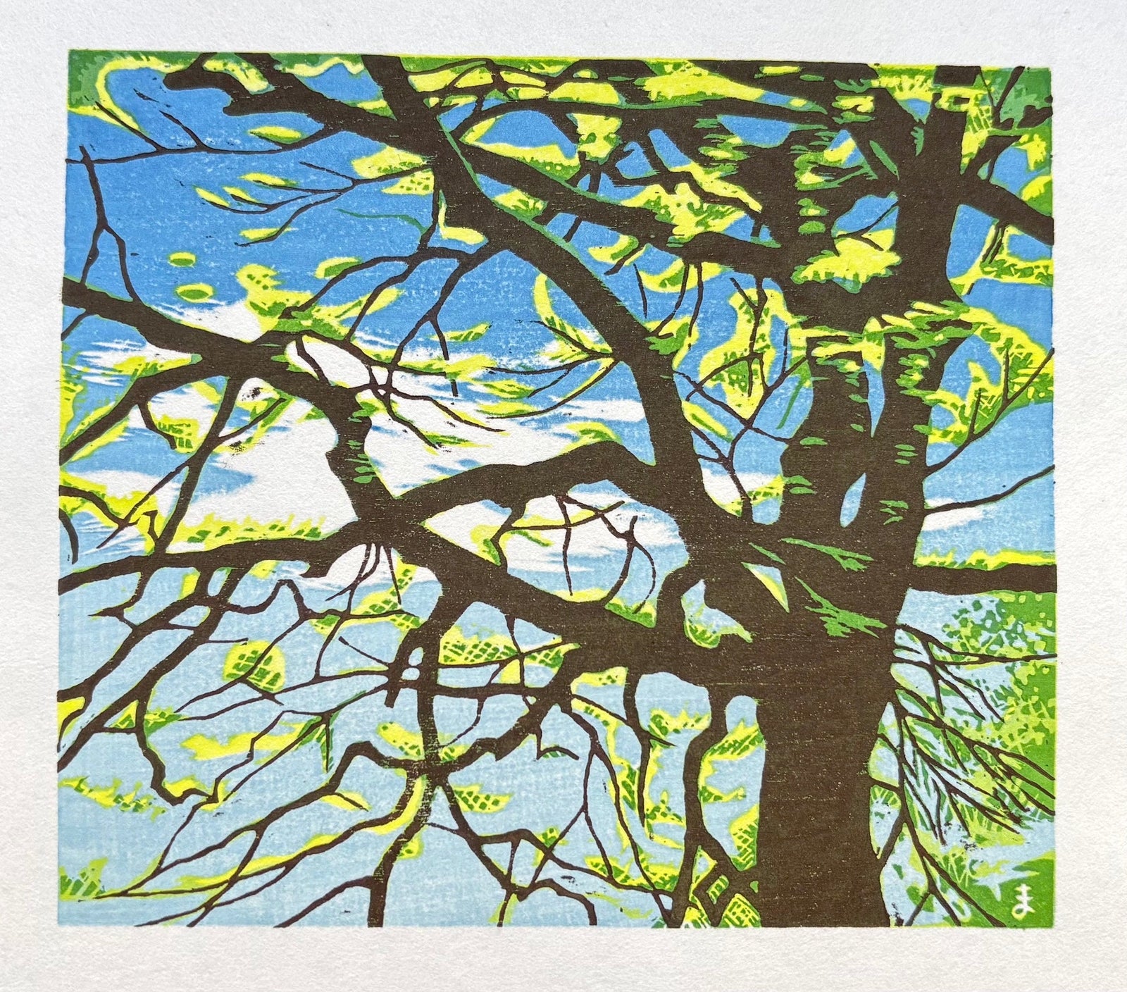  - Tree in Spring Light - Koichi Maeda - SAKURA FINE ART