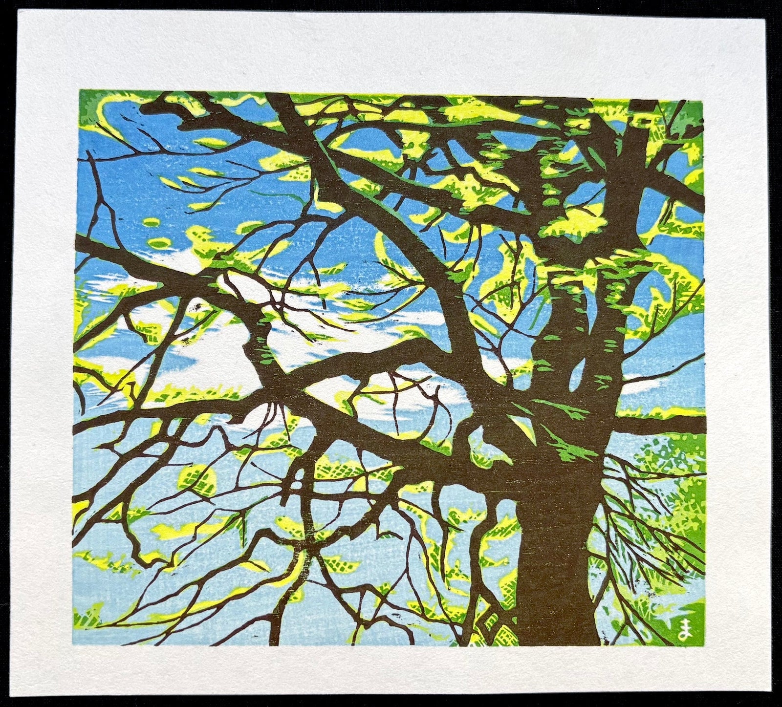  - Tree in Spring Light - Koichi Maeda - SAKURA FINE ART