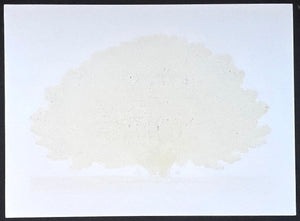  - Tree Scene 156 A - Hajime Namiki - SAKURA FINE ART