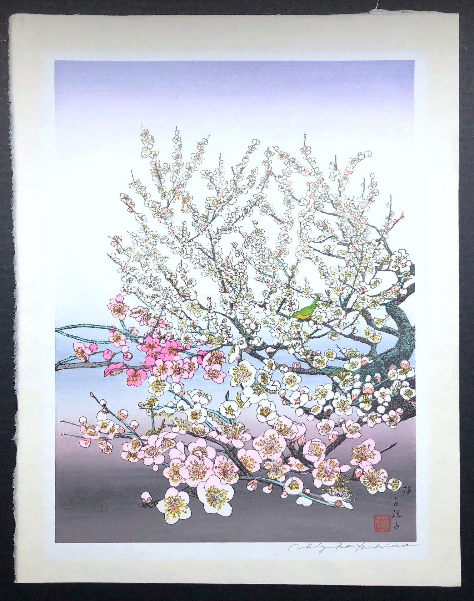 - Ume (Plum Tree) - Chizuko Yoshida - SAKURA FINE ART