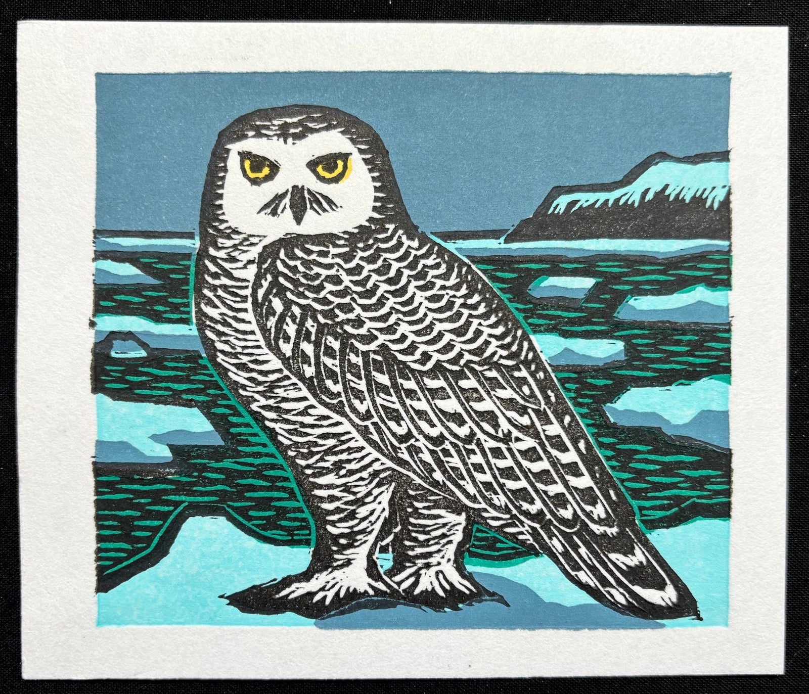  - White Owl - SAKURA FINE ART