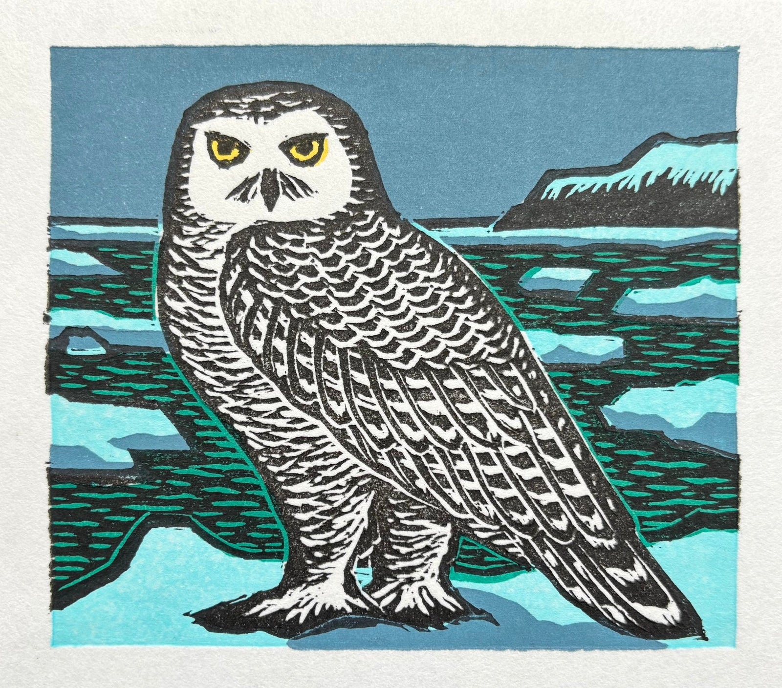  - White Owl - SAKURA FINE ART