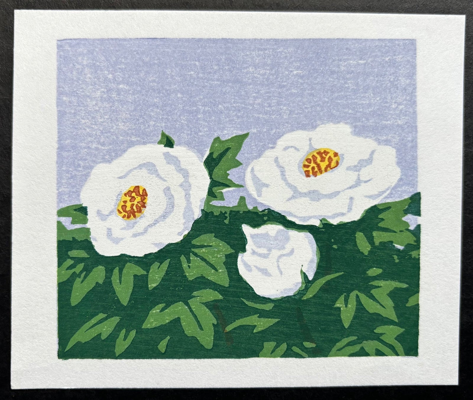  - White Peony - Yoshitaka Nakao - SAKURA FINE ART