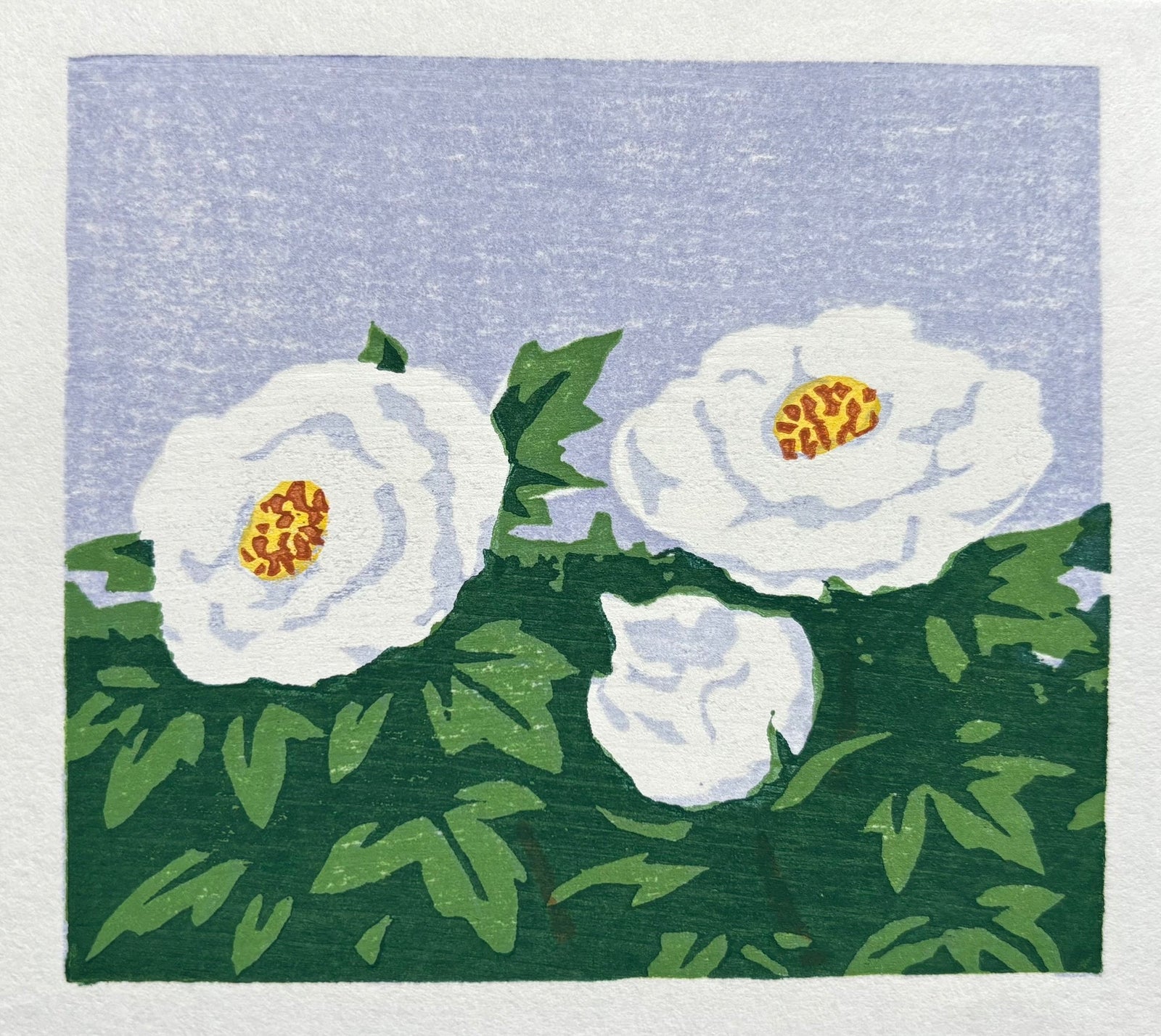  - White Peony - Yoshitaka Nakao - SAKURA FINE ART