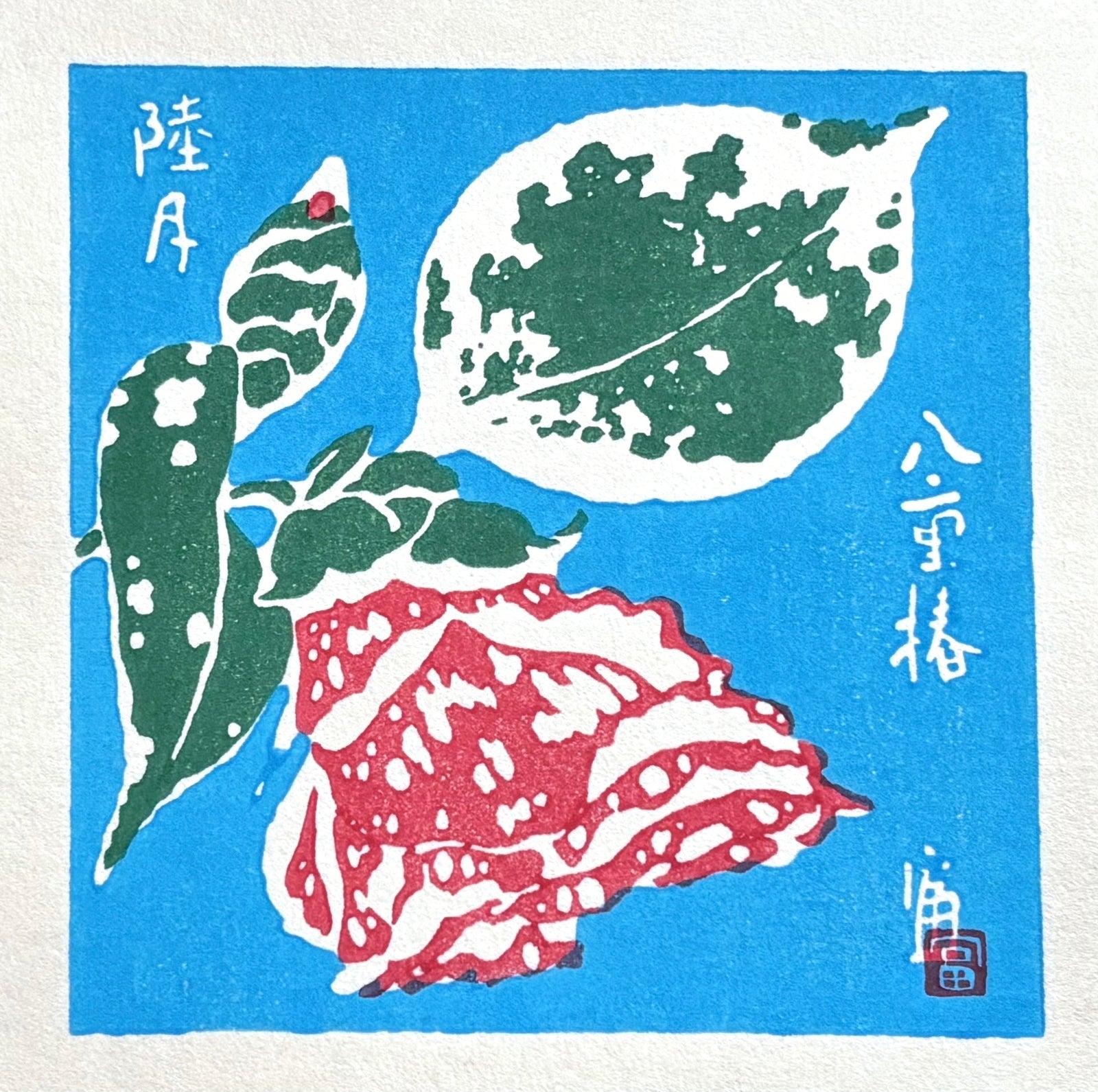  - Yae Tsubaki - Mutsuki (Double Flowered Japanese Camellia - January) - Tomikichiro Tokuriki - SAKURA FINE ART
