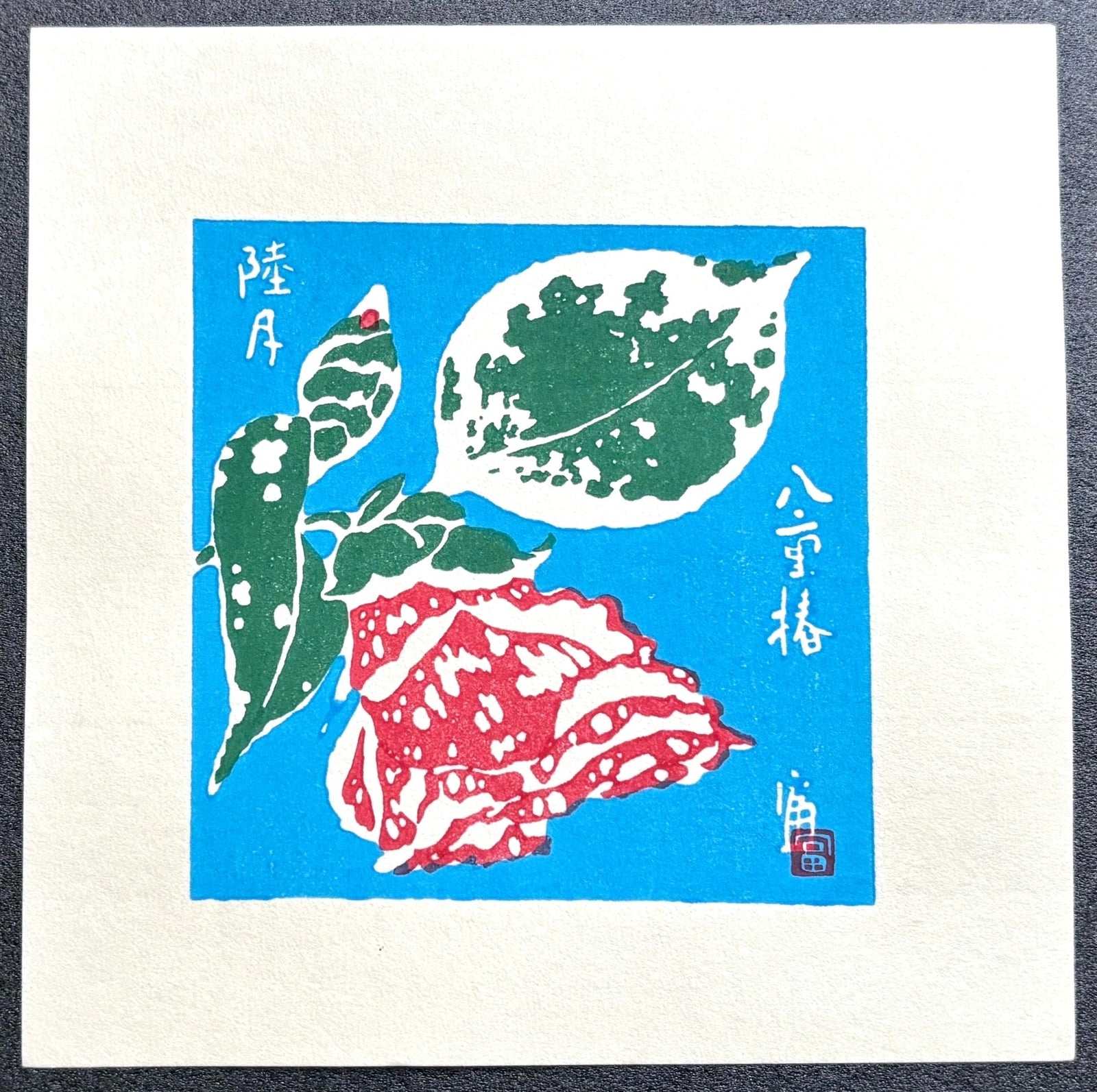  - Yae Tsubaki - Mutsuki (Double Flowered Japanese Camellia - January) - Tomikichiro Tokuriki - SAKURA FINE ART