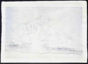  - Yamataka Jindai Zakura (Yamataka Jindai Cherry Blossoms) - Seiji Sano - SAKURA FINE ART